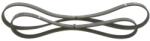Bosch Set curea transmisie cu caneluri BOSCH 1 987 946 196 (1 987 946 196)