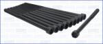 AJUSA Set surub, chiulasa AJUSA 81020300 (81020300)