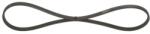 Bosch Curea transmisie cu caneluri BOSCH 1 987 947 572 (1 987 947 572) - centralcar
