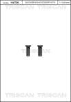 TRISCAN Set surub, disc frana TRISCAN 8105 116016 (8105 116016)