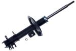 Denckermann amortizor DENCKERMANN DSB318G (DSB318G) - centralcar