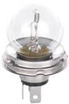 Bosch Bec incandescent BOSCH 1 987 302 421 (1 987 302 421) - centralcar