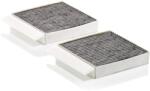 Mann-filter Filtru, aer habitaclu MANN-FILTER CUK 25 034-2 (CUK 25 034-2) - centralcar
