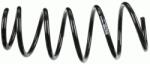 SACHS Arc spiral SACHS 997 998 (997 998) - centralcar