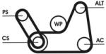 Continental Ctam Set curea transmisie cu caneluri CONTINENTAL CTAM 6PK1019T1 (6PK1019T1) - centralcar