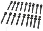 ASHIKA Set surub, chiulasa ASHIKA 115-01-100 (115-01-100) - centralcar