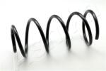 ASHIKA Arc spiral ASHIKA ZCA2171C (ZCA2171C) - centralcar