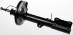 Denckermann amortizor DENCKERMANN DSB019G (DSB019G) - centralcar