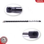 ESEN SKV Amortizor portbagaj ESEN SKV 52SKV798 (52SKV798) - centralcar