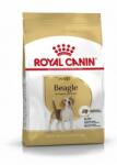 Royal Canin Beagle Adult - Beagle felnőtt kutya száraz táp 12 kg (121381)