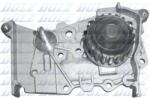 DOLZ Pompă de apă, răcire motor DOLZ R236 (R236) - centralcar