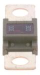 Bosch siguranta fuzibila BOSCH 1 987 531 007 (1 987 531 007) - centralcar