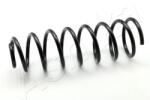 ASHIKA Arc spiral ASHIKA ZCA5073C (ZCA5073C)