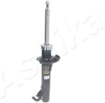 ASHIKA amortizor ASHIKA MA-00213 (MA-00213) - centralcar