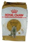 Royal Canin British Shorthair Adult - Brit rövidszőrű felnőtt macska száraz táp 10 kg (121396)