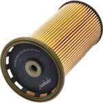ASHIKA filtru combustibil ASHIKA 30-ECO087 (30-ECO087) - centralcar