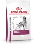 Royal Canin Renal 14 kg (106765)