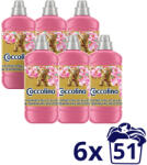 Coccolino Honeysuckle&Sandalwood öblítőkoncentrátum (6x1275 ml)