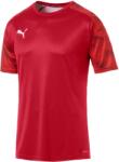 PUMA Cup Training Jersey (65602301)