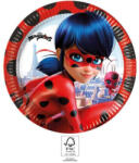 Miraculous Katicabogár és Fekete macska kalandjai Hero papírtányér 8 db-os 23 cm FSC