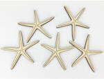  Fa tengeri csillag 8cm 5db/cs 6067 (6067)
