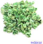  Bakuli 13dkg/csomag - Világos Zöld