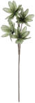 Bizzotto Set 12 Magnolii artificiale verzi 25x92h (0172583)