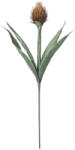 Bizzotto Set 12 flori artificiale verzi galbene Pitaya 30x89h (0172568)