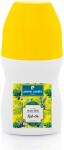 Pierre Cardin Deodorant Roll-On Mystic Elixir, 50ml, Pierre Cardin