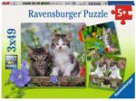 Ravensburger - Puzzle 3x49 Kittens - 40 - 99 piese