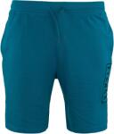 ATHLECIA Athl DPT Sigfrid Ottanio Férfi Sportos Rövidnadrág 2XL - Kényelmes és Lélegző lila