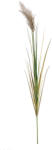 Bizzotto Set 5 Pampas artificial verde maro Ø18x140h (0173026)