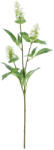 Bizzotto Set 24 flori artificiale albe verzi Patchouli 16x8x74h (0173076)