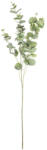 Bizzotto Set 24 crengute Eucalipt artificial verde 26x93h (0172933)