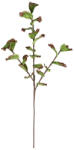 Bizzotto Set 12 crengute artificiale verzi rosii Wallis 48x115h (0173092)