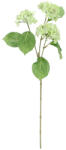 Bizzotto Set 12 Hortensii artificiale verzi 29x29x82h (0173073)