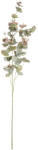 Bizzotto Set 24 crengute Eucalipt artificial verde violet 26x93h (0172934)
