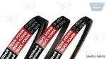 OPTIBELT Curea transmisie OPTIBELT TruckPOWER CP CP10539 (CP10539)