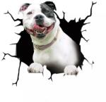 Original Deals Amerikai Pitbull kutya mintás díszmatrica, otthoni/autós, prémium öntapadó, 30 x 30 cm, ORIGINAL DEALS (22AGL1099)