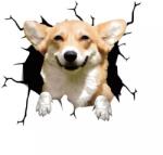 Original Deals Dekoratív matrica Welsh Corgi Dog, otthonra vagy autóra, prémium öntapadós, 30 x 30 cm, eredeti ajánlatok (22AGL1103)