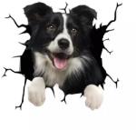 Original Deals Bordercollie kutya dekoratív matrica, otthonra vagy autóra, prémium öntapadó, 30 x 30 cm, eredeti ajánlatok (22AGL1107)