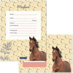 Ars Una Wild and Free partimeghívó borítékkal (50223596)