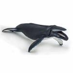 Papo Figurina Balena cu Cocoasa (Papo56001) - edanco Figurina