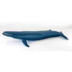 Papo Figurina Balena Albastra (Papo56037) - edanco Figurina