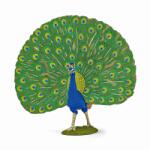 Papo Figurina Paun (Papo51161) - edanco Figurina