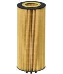 Hengst Filter Olejový filter HENGST FILTER E181H D252 (E181H D252)