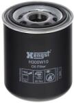 Hengst Filter Filter pracovnej hydrauliky HENGST FILTER H300W10 (H300W10)