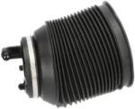 KAVO PARTS Vzduchová pružina, podvozok KAVO PARTS SAS-10016 (SAS-10016)