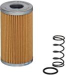 Hengst Filter Filter pracovnej hydrauliky HENGST FILTER EY886H D392 (EY886H D392)