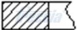 FRECCIA Sada piestnych krúżkov FRECCIA FR10-109800 (FR10-109800)